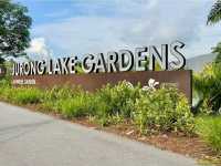 Jurong Lake Gardens (Free & tranquil)