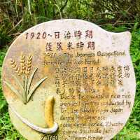 頂湖社區-草山瀑布-猴崁水圳步道-竹子湖歡樂行