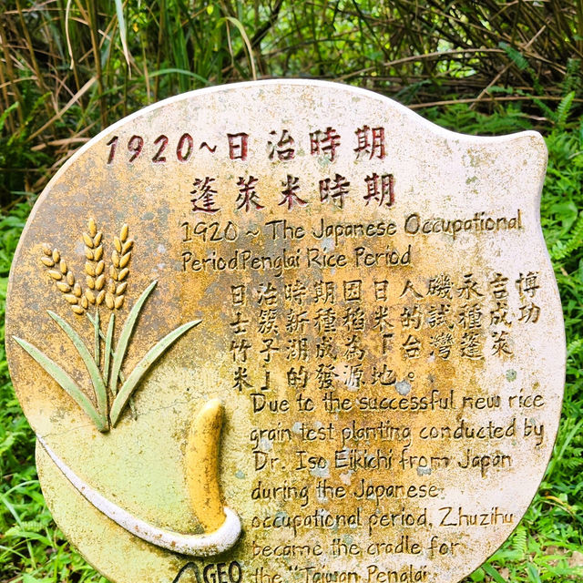 頂湖社區-草山瀑布-猴崁水圳步道-竹子湖歡樂行
