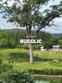 คาเฟ่เขาใหญ่ Bucolic Khaoyai 🌳🌲🍃🪵🧺🤎