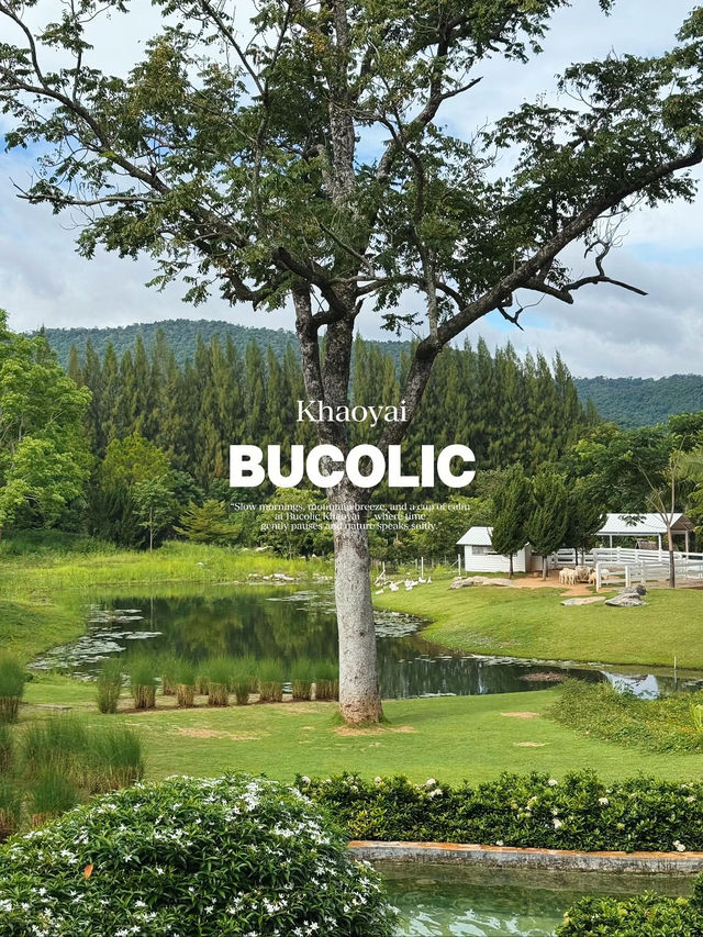 คาเฟ่เขาใหญ่ Bucolic Khaoyai 🌳🌲🍃🪵🧺🤎