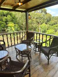 🌲 Weekend Escape: Wood Story Retreat, Titi (Negeri Sembilan)