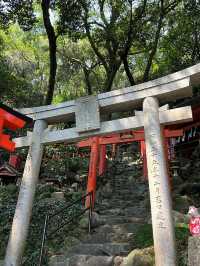 🦊【打開神域山林｜佐賀祐德稻荷神社】千本鳥居下的心願與祝福🌿⛩️