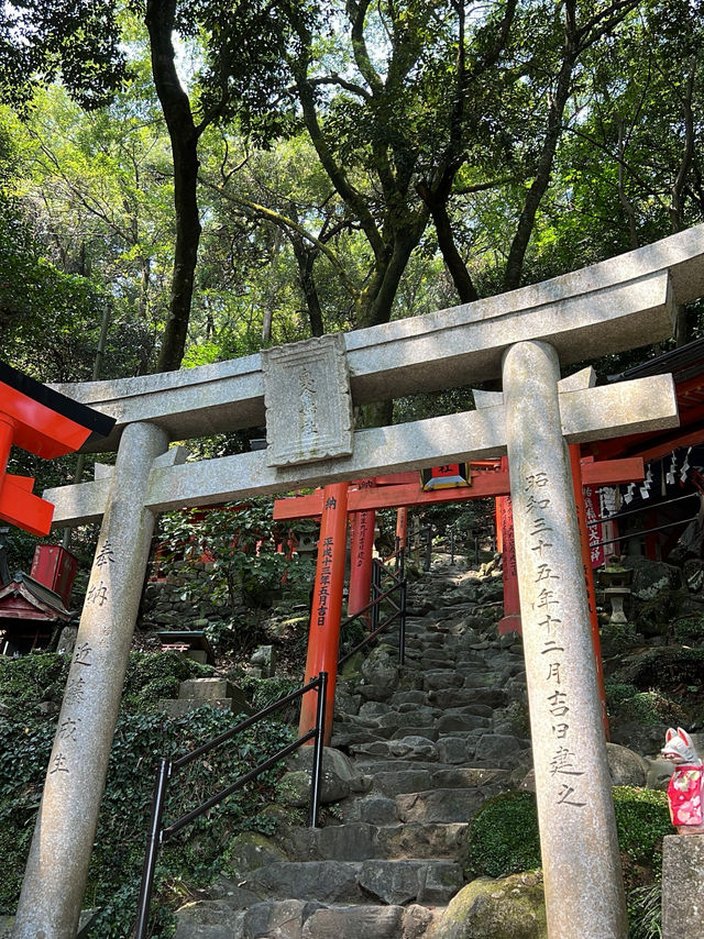 🦊【打開神域山林｜佐賀祐德稻荷神社】千本鳥居下的心願與祝福🌿⛩️