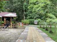เที่ยวป่าในเมือง สวนรุกขชาติเชียงใหม่