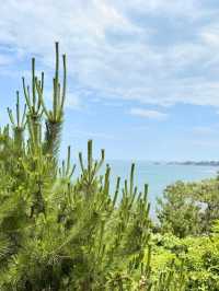 Ocean & Meadows Unbound: A Summer Walk Along Tanesashi Coast