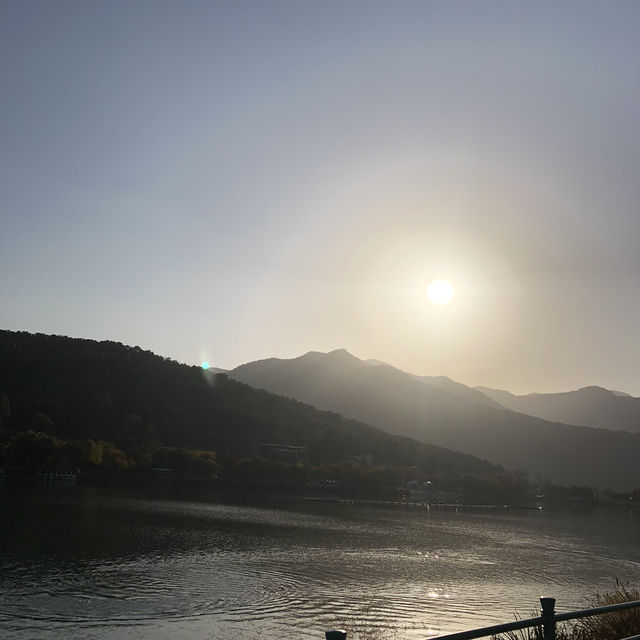 [대구 수성못공원] 백조 오리배 타고 힐링 산책, 잔잔한 호수