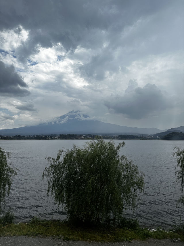 Mt. Fuji, group trip