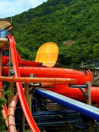 🎡🌊 Ocean Park Hong Kong – Thrills, Views 