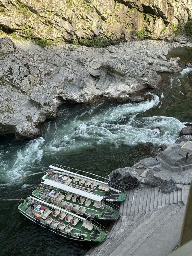 四國｜大步危峽觀光遊覽船｜激流中的自然震撼