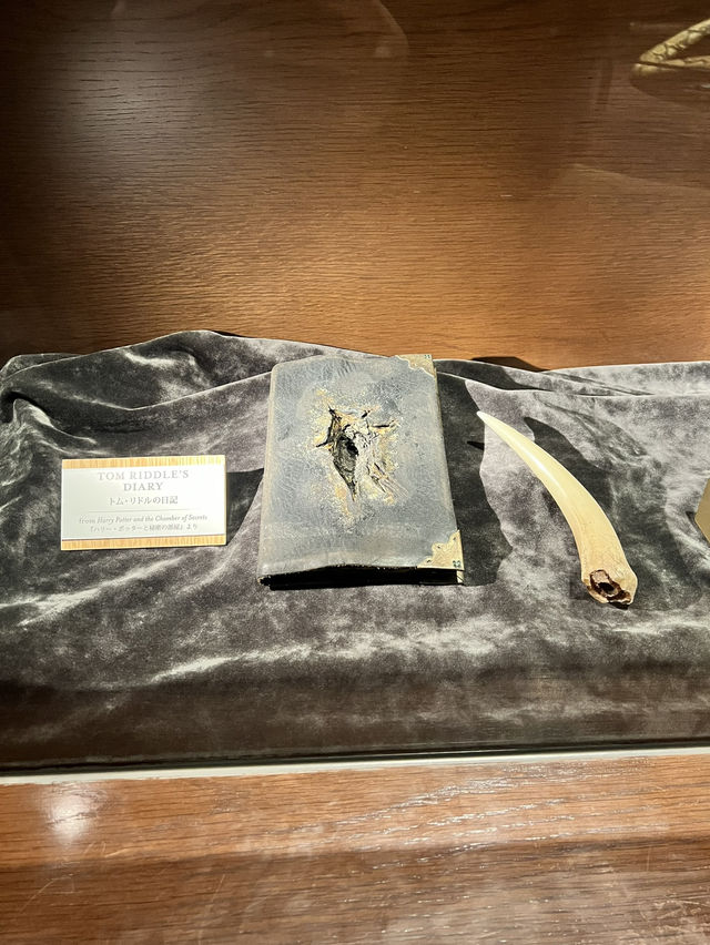 A Spellbinding Day at the Wizarding World – Pure Magic in Tokyo! 