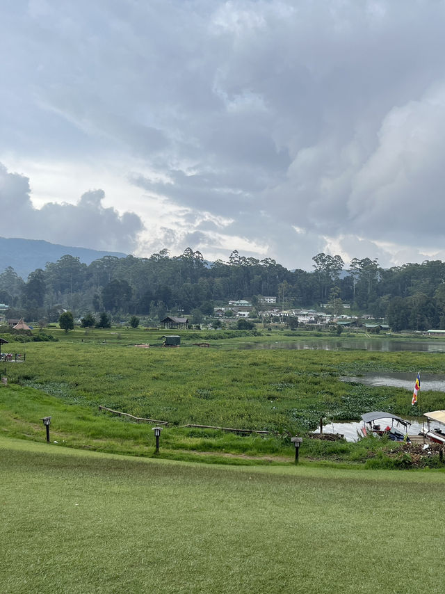 🌄 Gregory Lake, Nuwara Eliya — A Misty Highland Escape