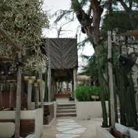 Glass House BOHO 