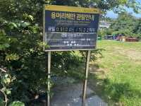 산방산 뷰와 함께한 제주 갈치 조림 맛집 순천미향