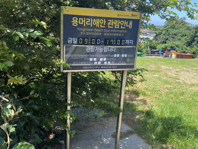 산방산 뷰와 함께한 제주 갈치 조림 맛집 순천미향