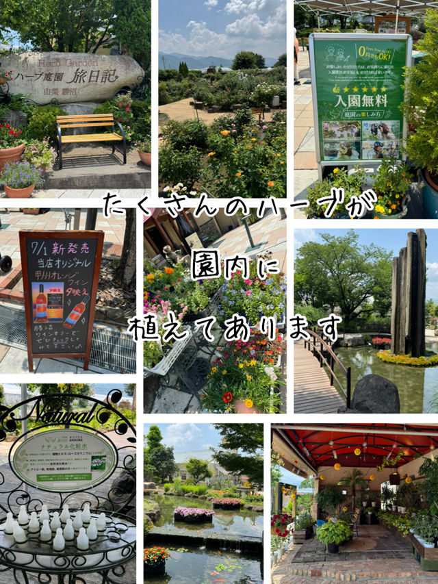 入園無料！山梨県 甲州市にあるハーブ庭園