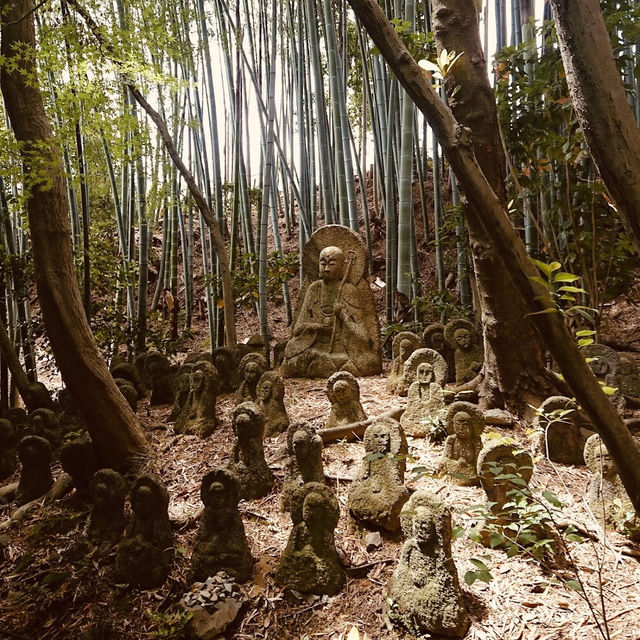 🌿 Secret Kyoto Escape: Sekiho-ji Temple – Fushimi Inari’s Quiet Neighbor