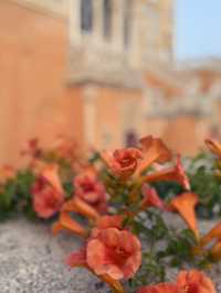 Santa cesarea Terme • Truly a hidden gem