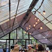 🍃Post-Hike Treat at Hill & Heal Café – A Hidden Gem in Kluang!🌿