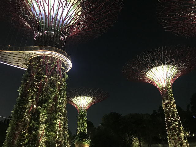 新加坡-濱海灣天空樹燈光秀
