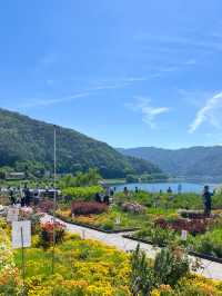 🌿✨ รีวิว Oishi Park (大石公園) ต้นเดือนมิถุนายน  