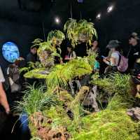 大阪 EXPO | 愛爾蘭館，小而美的生態地貌展示