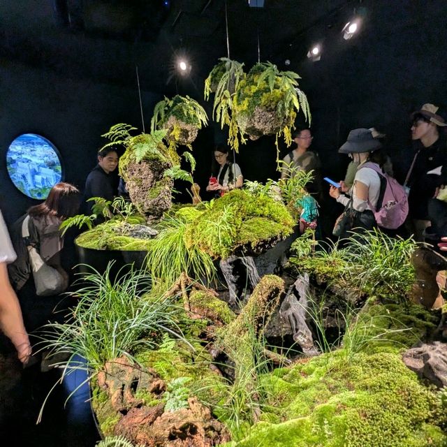 大阪 EXPO | 愛爾蘭館，小而美的生態地貌展示