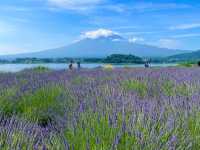  Reflections of Fuji: A Gentle Escape to Lake Kawaguchiko