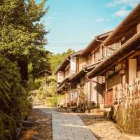 Kyoto Gion (祇園) Summer Night Walk: A Magical Evening in the Geisha District** 🌸🎋