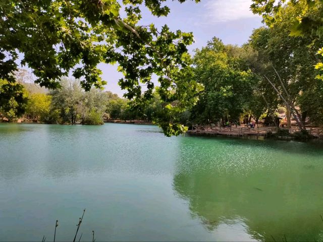 Lake Day Bliss at Albufera de Anna