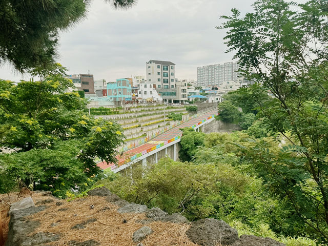 제이각을 정면으로 본 날 ❤️