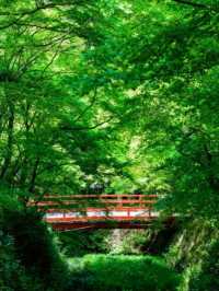 京都必去景點（八） 三千院🌳禪意之美