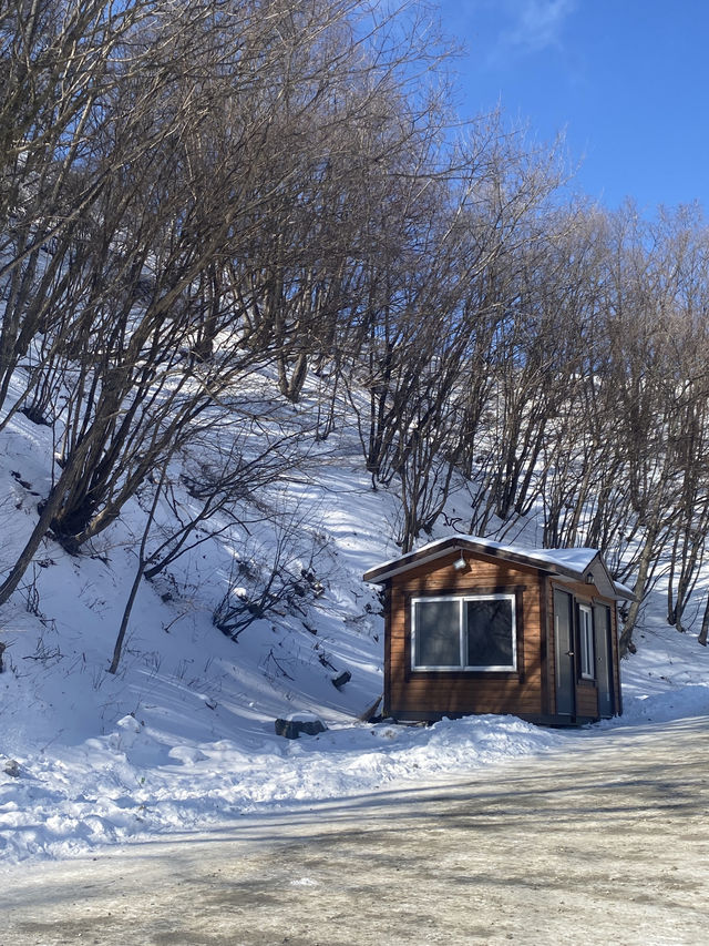 Daegwallyeong คังวอนโดเกาหลี 🇰🇷❄️