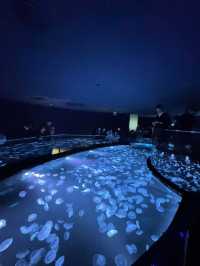 Sumida Aquarium 🐠🎏✨