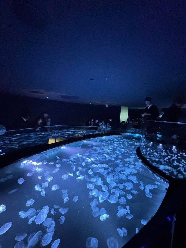 Sumida Aquarium 🐠🎏✨