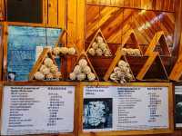 Exploring Gano Farm: A Wonderful World of Mushrooms