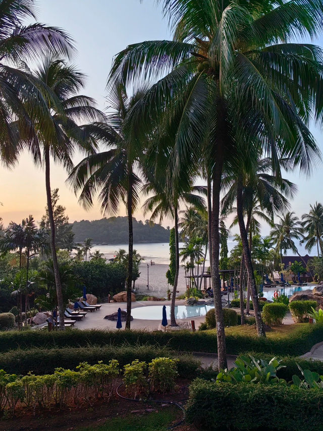 rainforest setting, over-water chalets, private beach, and friendly service