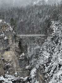 Neuschwanstein: Where A Broken King Buried His Mind