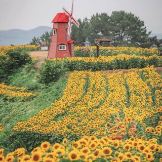 Gangju Village (강주마을): A Hidden Slice of Traditional Korea in South Jeolla