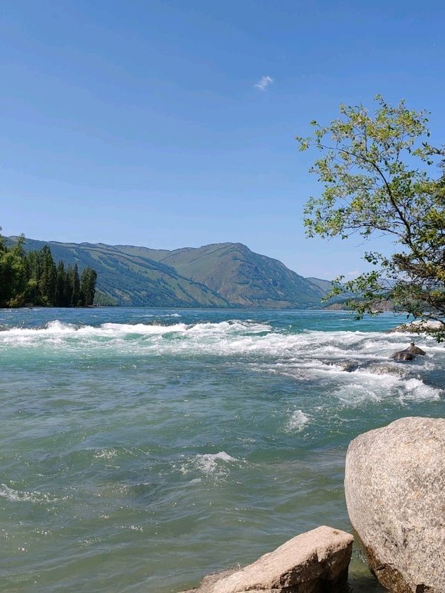 Turquoise Waters and Pine Forests by Kanas Lake