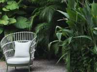 静けさとスタイルが融合する場所、The Standard Hua Hinで心のリトリート🌴✨ #スタンダードホアヒン 