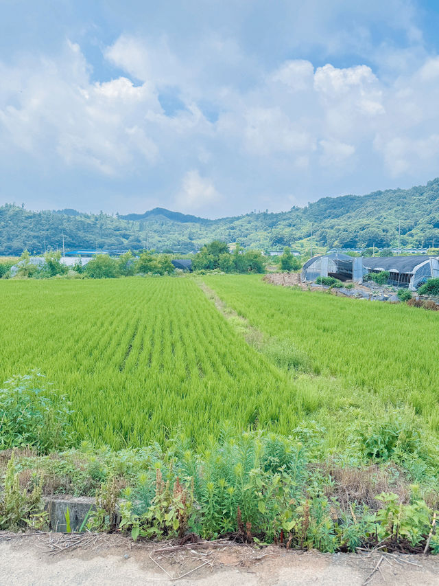물놀이 즐기기 좋은 국내 여행지 추천🌳