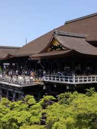 【清水寺】京都旅のスタートはここから！絶景と歴史に心奪われるひととき✨