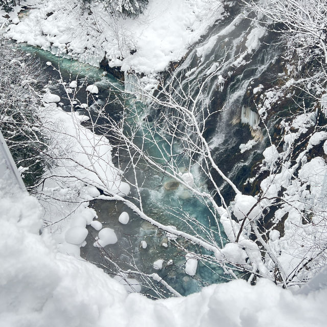 Winter Wonderland indeed!
