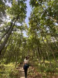 จุดชมวิวผาแดง ดอยกาน อำเภอบ้านโฮ่ง จังหวัดลำพูน