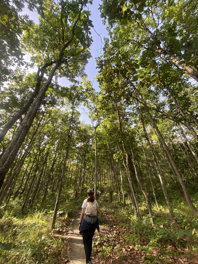 จุดชมวิวผาแดง ดอยกาน อำเภอบ้านโฮ่ง จังหวัดลำพูน