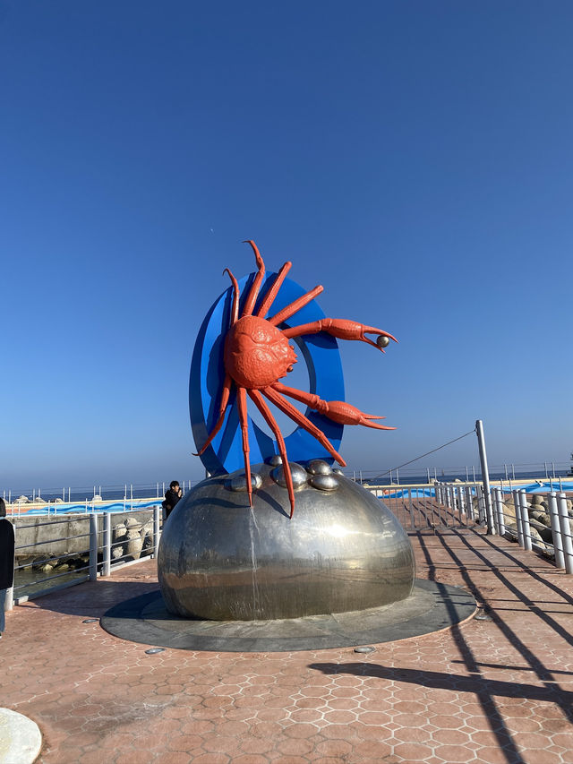 Sokcho Day Trip from Seoul
