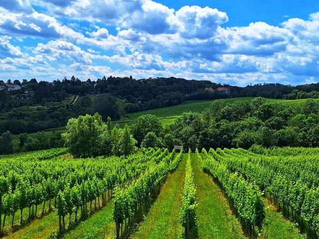 Kahlenberg, Vienna: The City’s Most Breathtaking Viewpoint 