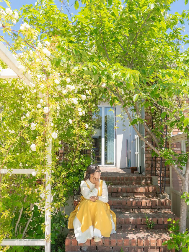 행복한 사장님이 가꾸시는 장미 정원 카페🌼💛