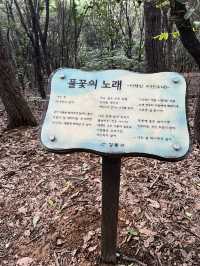 서울 둘레길 걸어보기